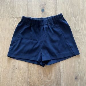 Aritzia Babaton Shorts